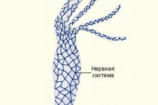 Kraken сайт даркнет