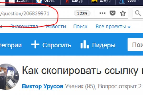 Http kraken 2kr