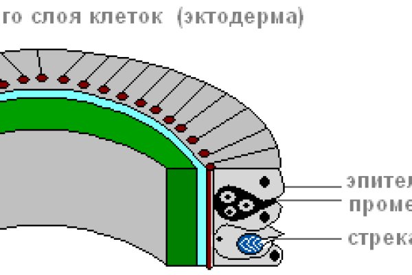 Где найти ссылку на кракен