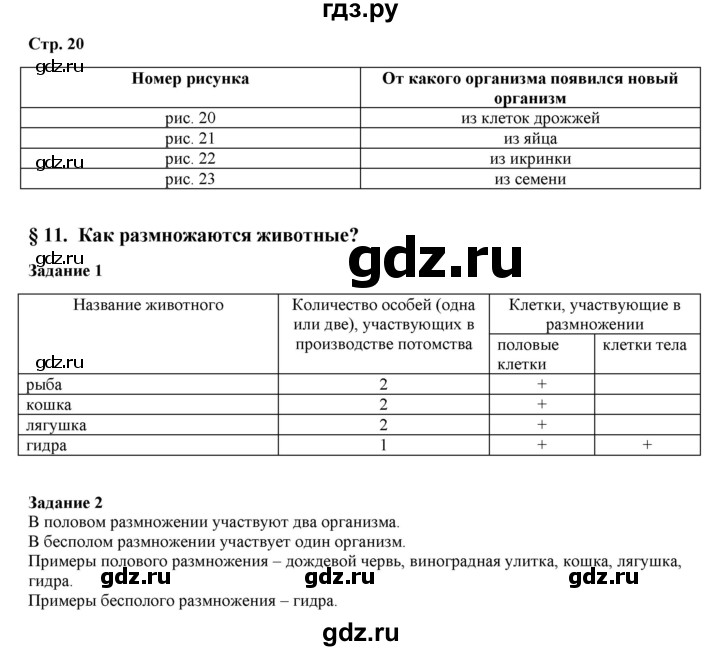 Кракен 24